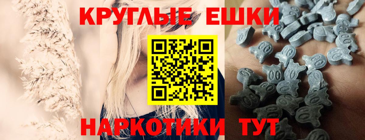 Абакан  Ecstasy  Вход с VPN  ЭКСТАЗИ Philipp Plein 