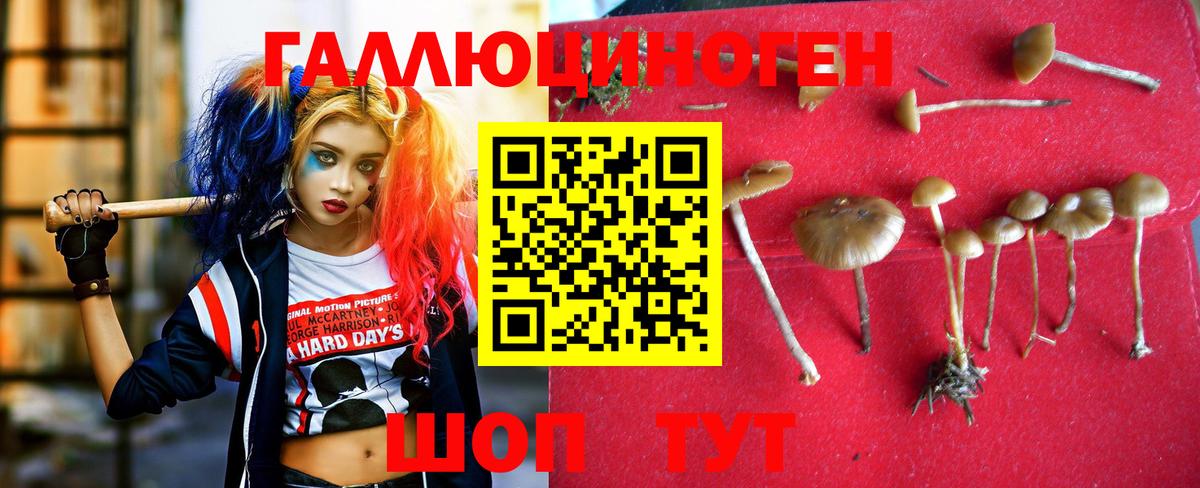 Псилоцибиновые грибы ЛСД  Вход с VPN  Абакан 