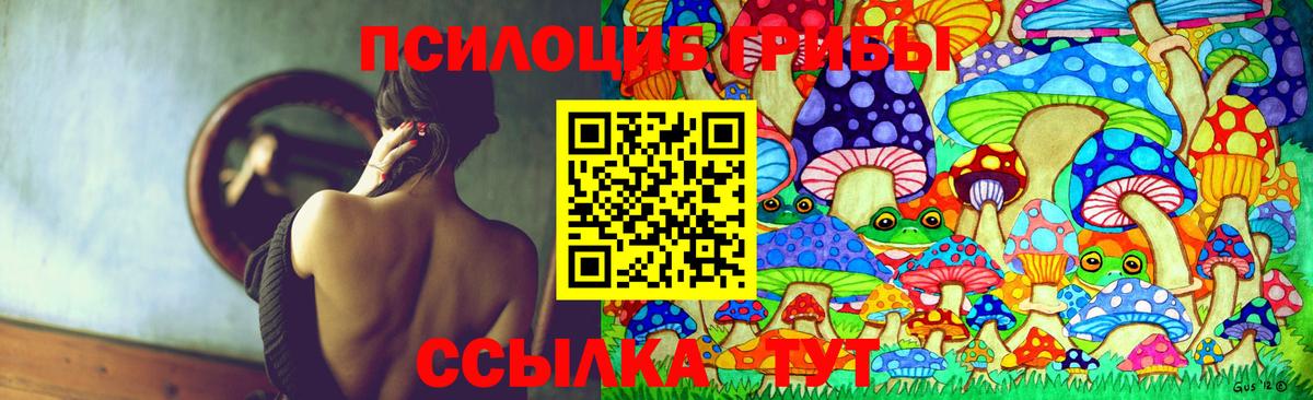 Псилоцибиновые грибы MAGIC MUSHROOMS Абакан